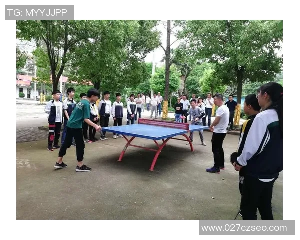 深圳乒乓球队在阵地战中的表现分析与未来发展展望