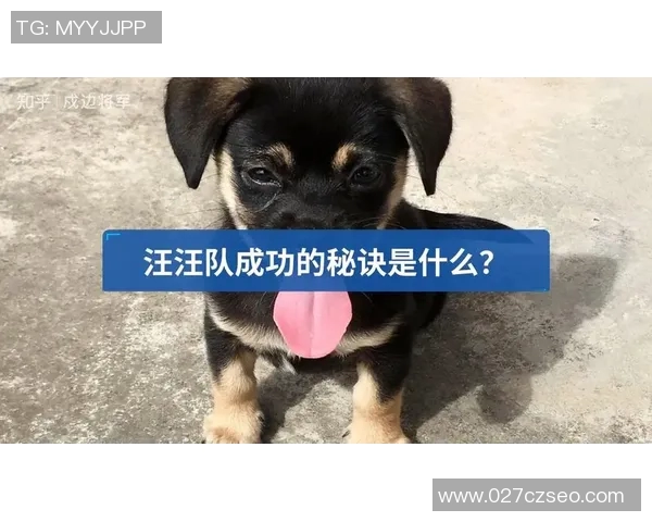 北京足球队防反战术解析：深度剖析其成功背后的秘密与策略