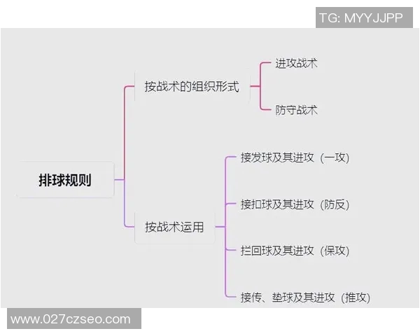 广州排球队中路突破分析与战术调整的得失评估