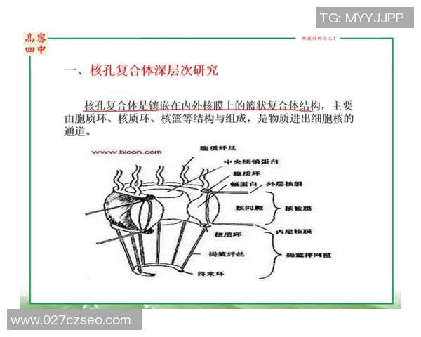 南京篮球队技术分析与战术创新的深度探讨与展望